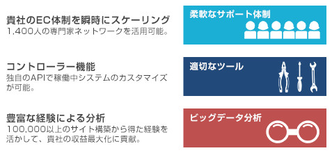 海外に精通する専門家を交えたプロジェクト